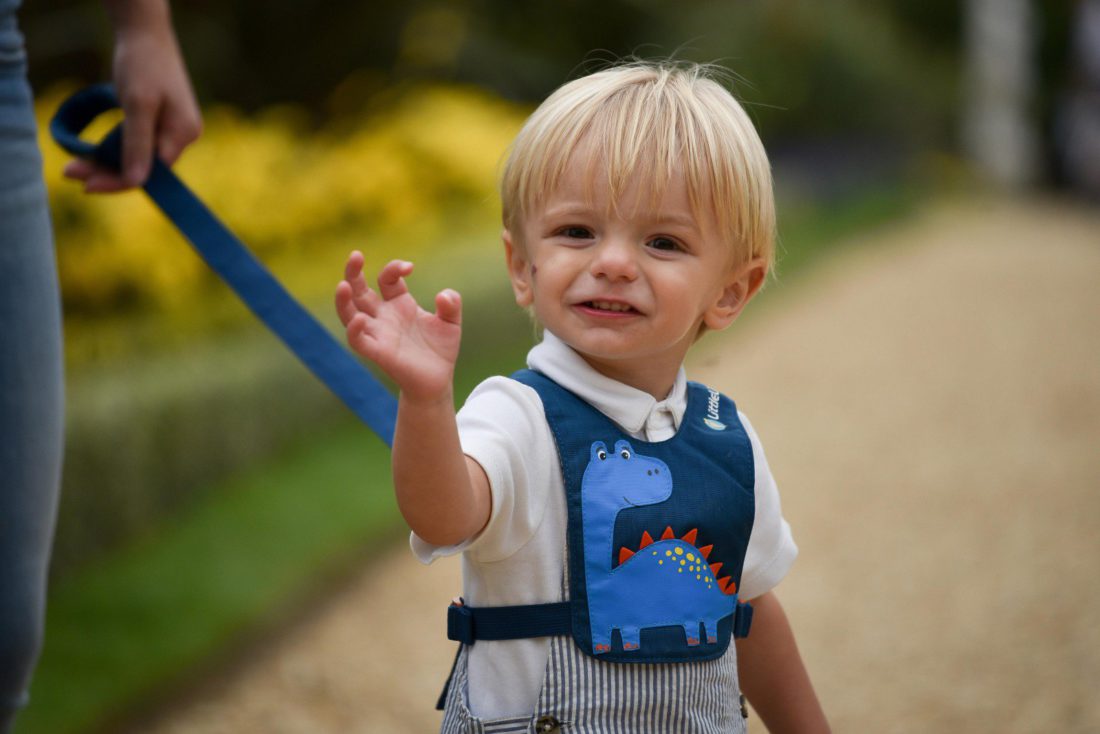 Toddler Reins designed for LittleLife during year in industry.