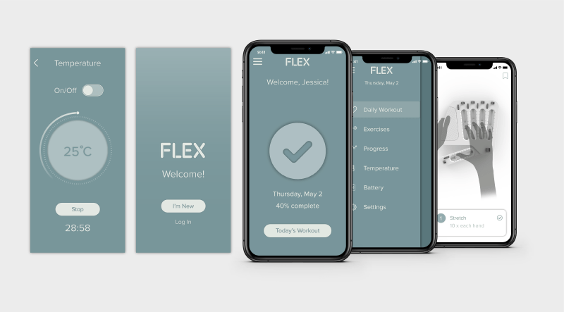 Flex App
